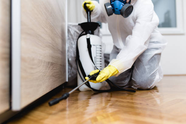 Best Mosquito Control Services  in Powdersville, SC