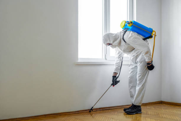 Wildlife Control Services in Powdersville, SC