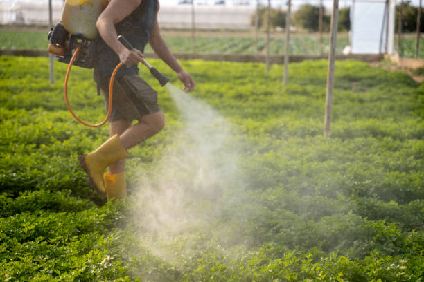 Best Insect Control  in Powdersville, SC