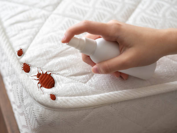 Best Best Pest Control Companies  in Powdersville, SC