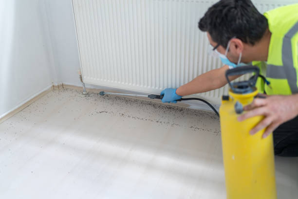 Best Affordable Pest Control Services  in Powdersville, SC