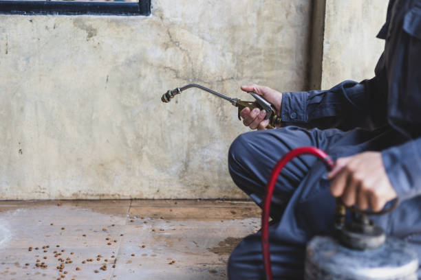 Best Exterminator Services  in Powdersville, SC